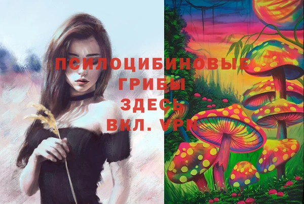 метадон Абинск