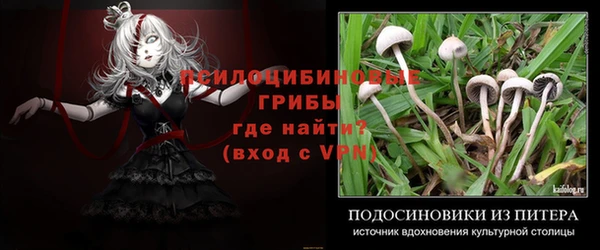 гашик Абдулино
