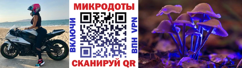 Псилоцибиновые грибы Psilocybine cubensis Рославль