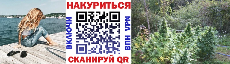 мега ссылки  Рославль  Бошки Шишки семена 